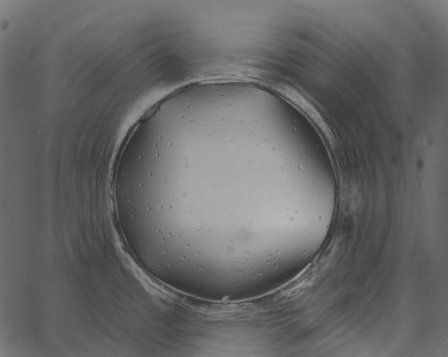 X0000062641485200601111113