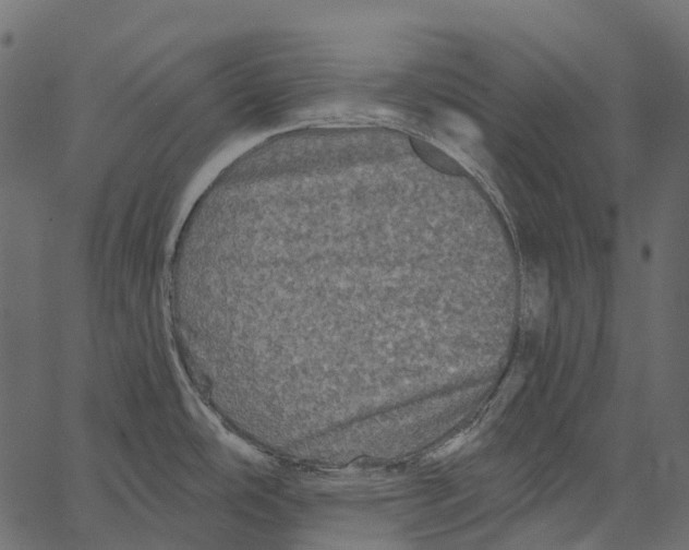 X0000062641486200601111113