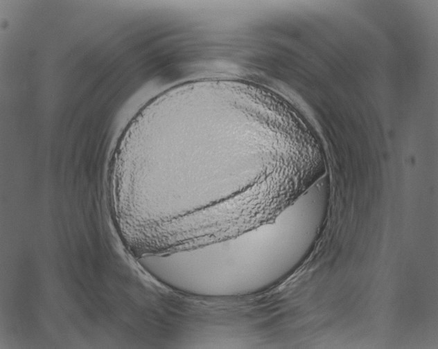 X0000062641488200601111113