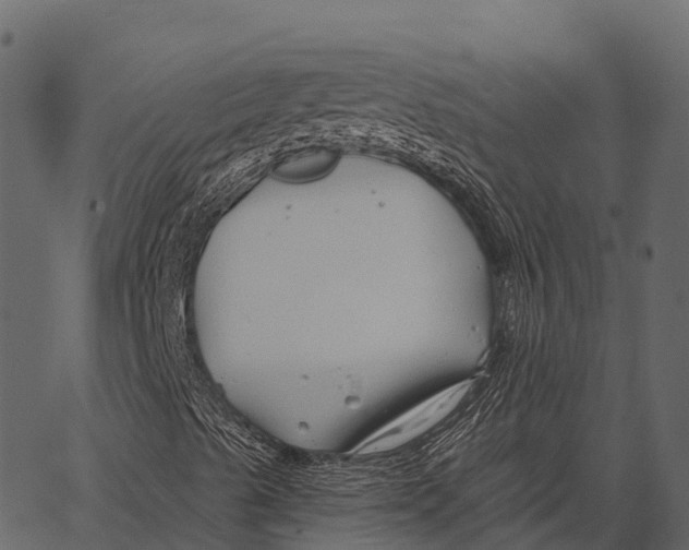 X0000062641489200601111112