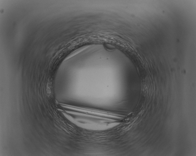 X0000062641490200601111112