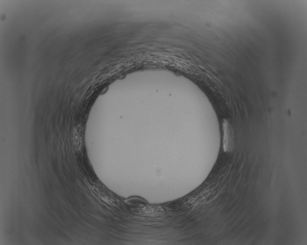 X0000062641491200601111112