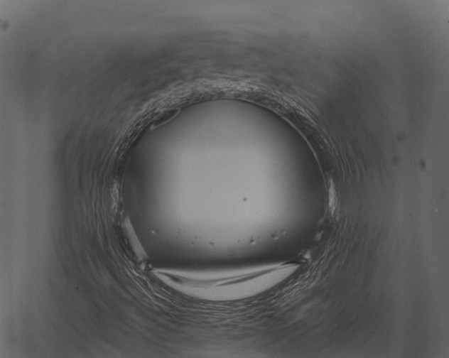 X0000062641492200601111112