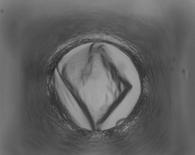 X0000062641494200601111112