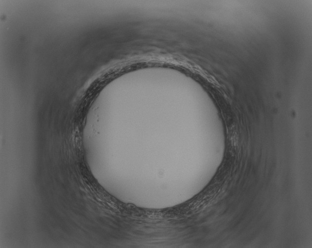 X0000062641495200601111112