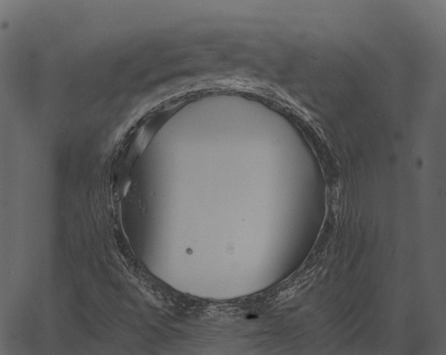 X0000062641496200601111112