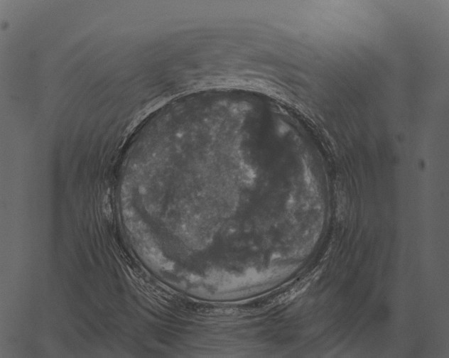 X0000062641497200601111112