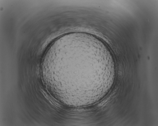 X0000062641499200601111112