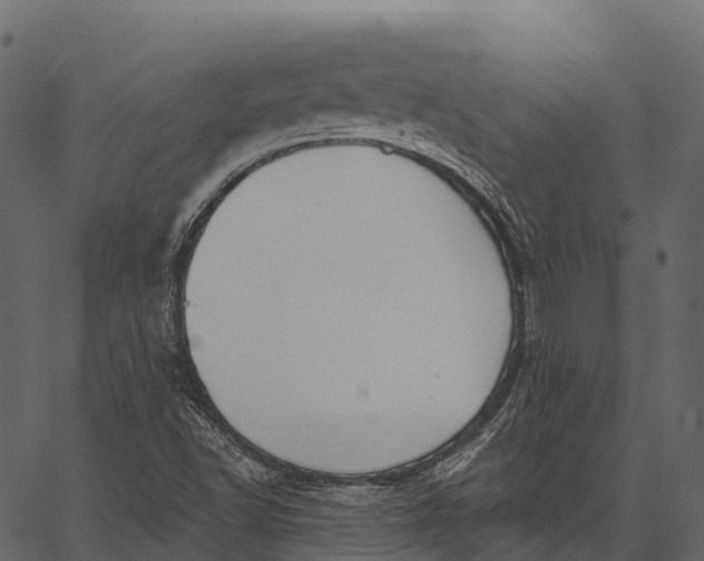 X0000062641502200601111112