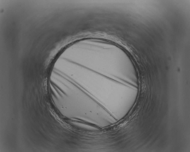 X0000062641503200601111112