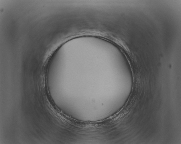 X0000062641504200601111112