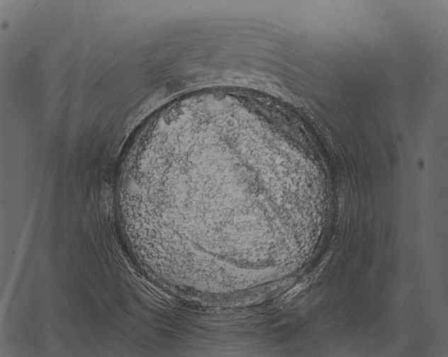 X0000062641505200601111112