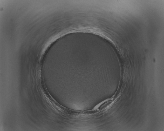 X0000062641506200601111112