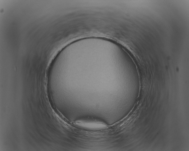 X0000062641508200601111112