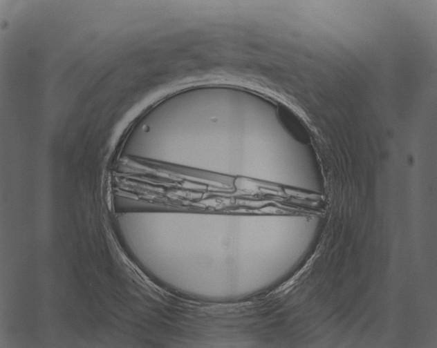 X0000062641510200601111112