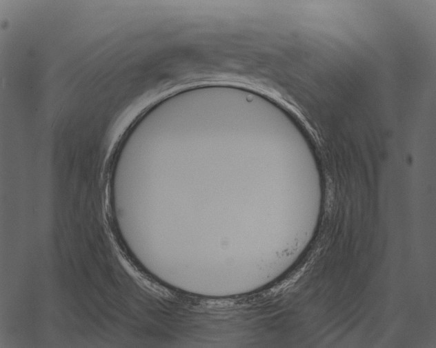 X0000062641511200601111112