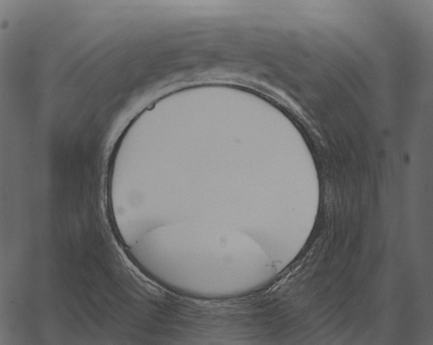 X0000062641512200601111112