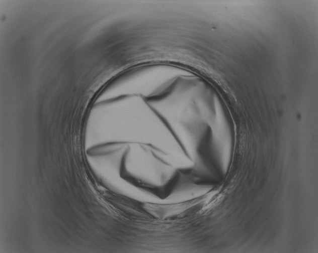 X0000062641513200601111112