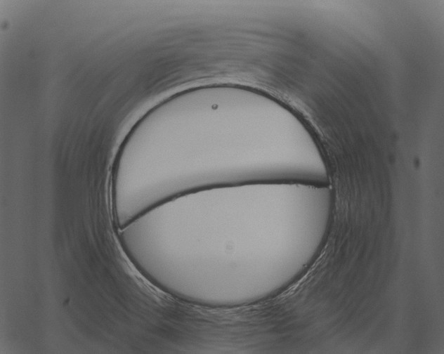 X0000062641516200601111112