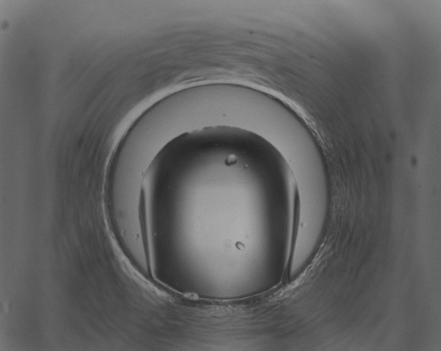 X0000062641518200601111112