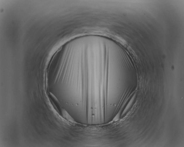 X0000062641520200601111112