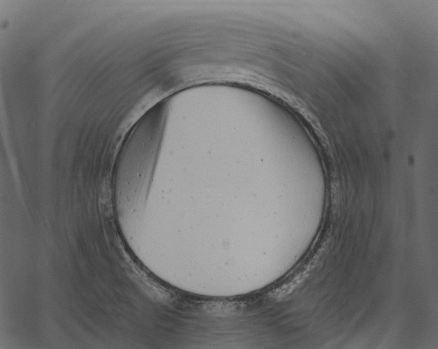 X0000062641521200601111112