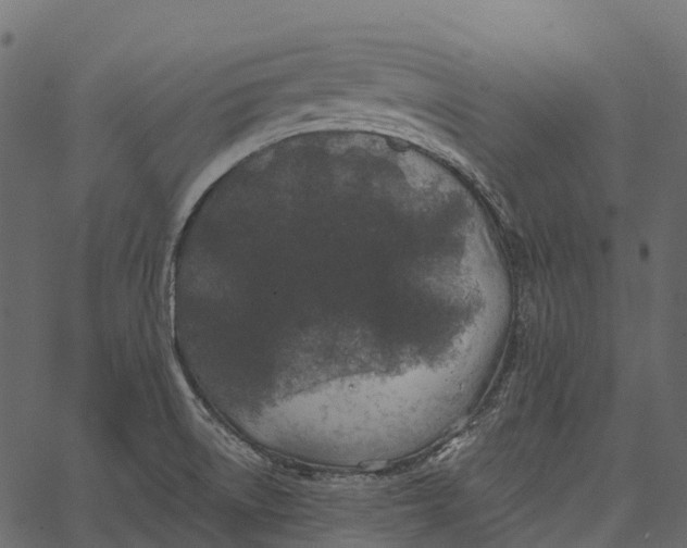 X0000062641522200601111112