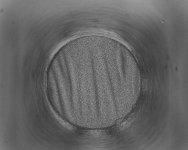 X0000062641523200601111112