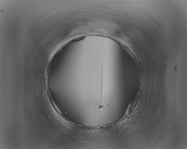 X0000062641524200601111112