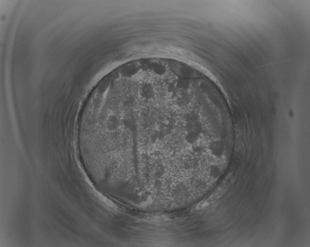 X0000062641525200601111113