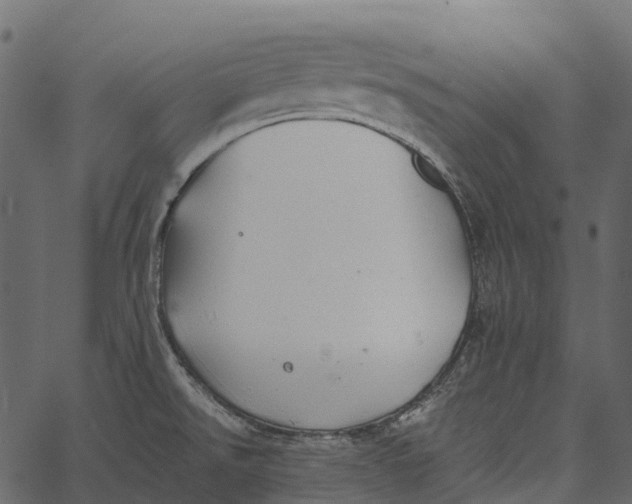 X0000062641526200601111113