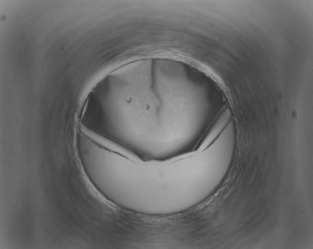 X0000062641528200601111113