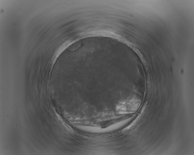 X0000062641529200601111113