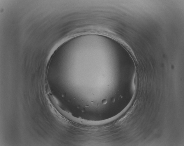 X0000062641530200601111113