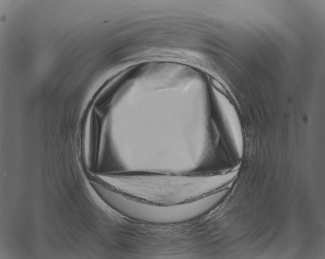 X0000062641531200601111113