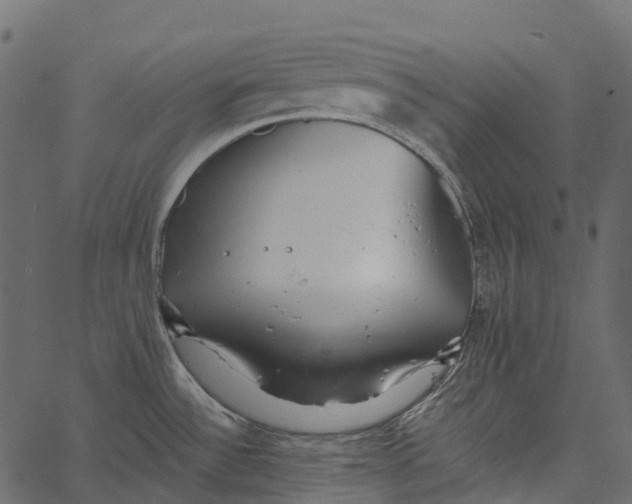 X0000062641532200601111113