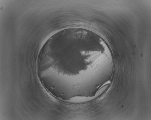 X0000062641533200601111113