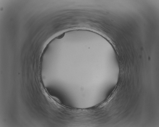 X0000062641534200601111113