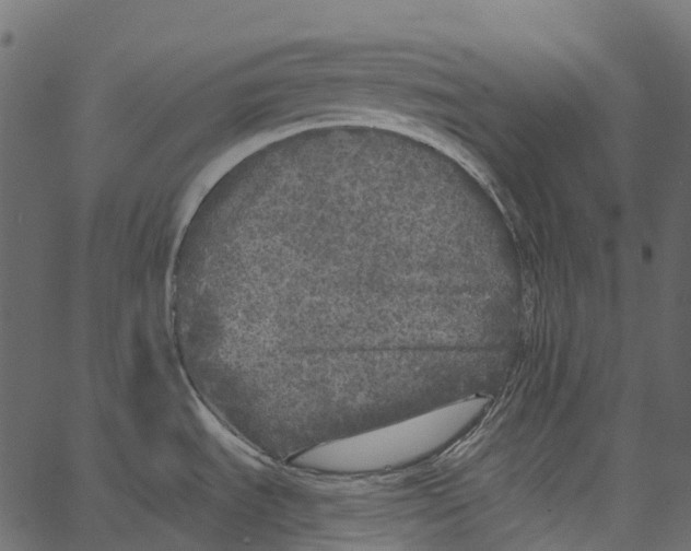 X0000062641535200601111113