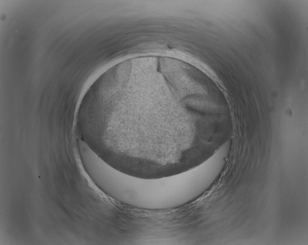 X0000062641536200601111113