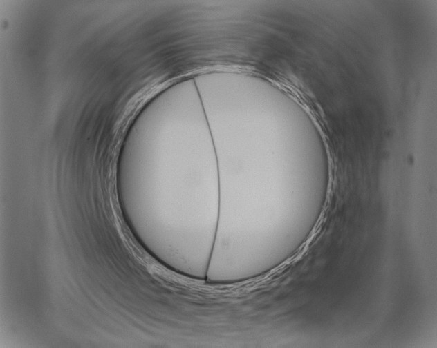 X0000062640001200601181756