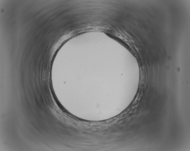 X0000062640003200601181756