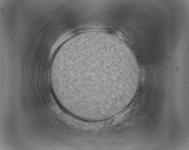 X0000062640004200601181756