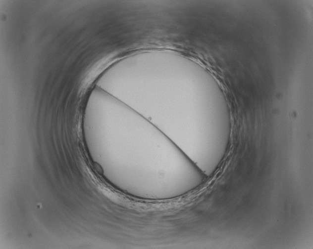 X0000062640005200601181756