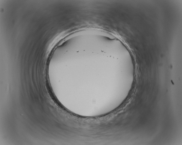 X0000062640007200601181756