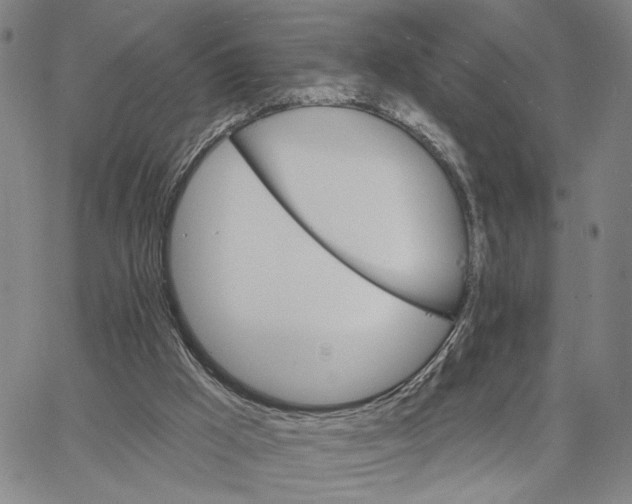 X0000062640009200601181756