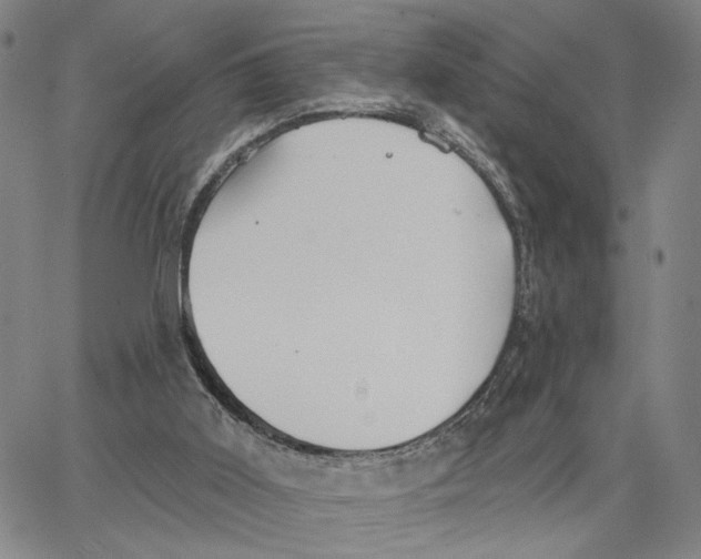 X0000062640011200601181756