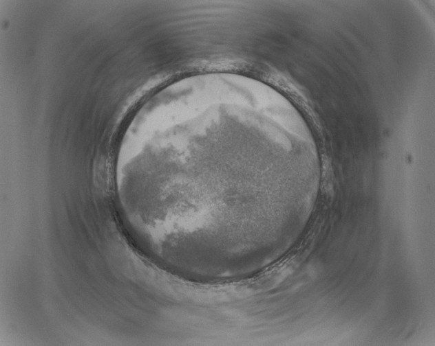 X0000062640012200601181756