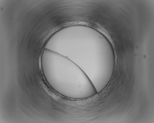 X0000062640013200601181756