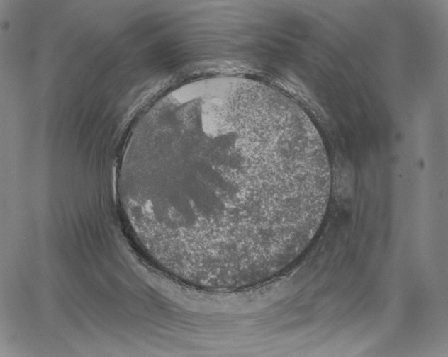 X0000062640014200601181756